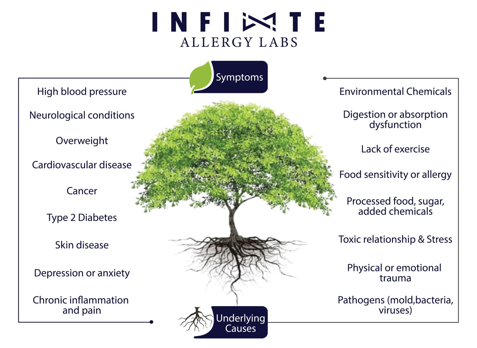 Infinite Allergy test kit banner